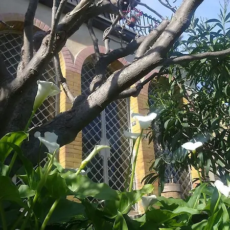 Casa Demarata