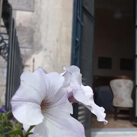 Casa Demarata Catania